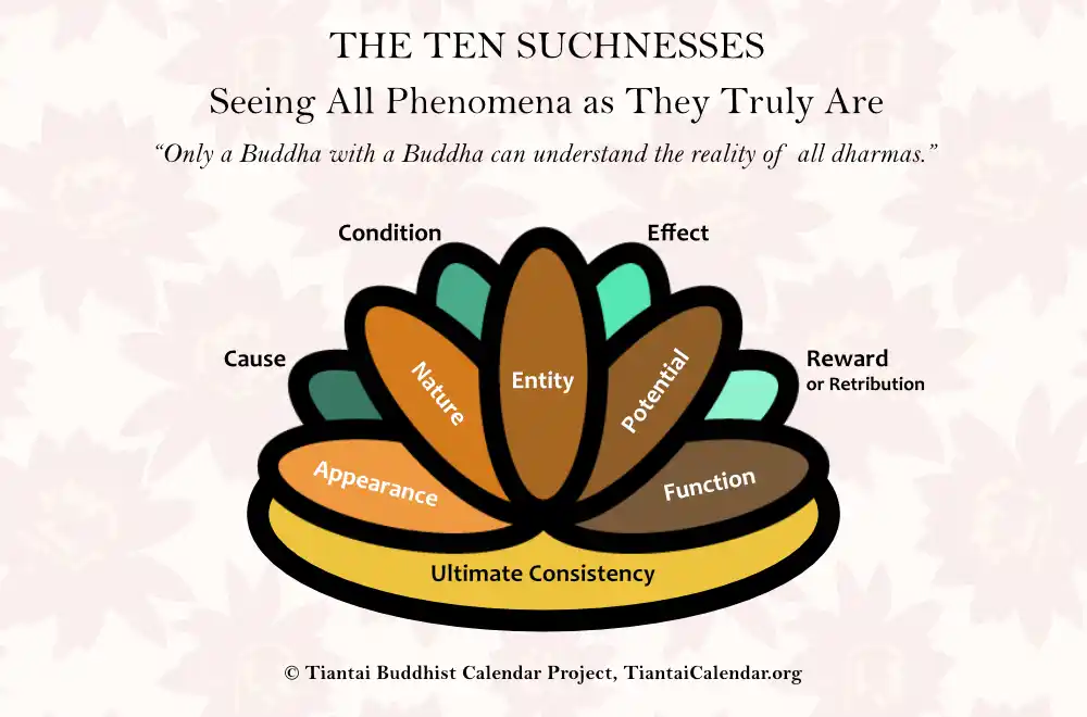 Infographic of the Ten Suchnesses from the Lotus Sutra showing appearance, nature, entity, power, function, cause, condition, effect, retribution, and ultimate consistency (Tiantai interpretation)